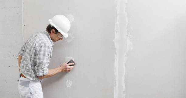Best Environmental Consulting for Mold Prevention  in Lakes Of The Four Seasons, IN