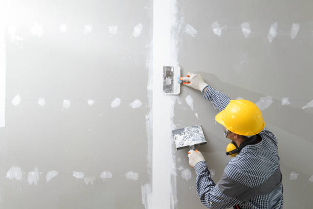 Best Mold-Related Health Consultation  in Lakes Of The Four Seasons, IN
