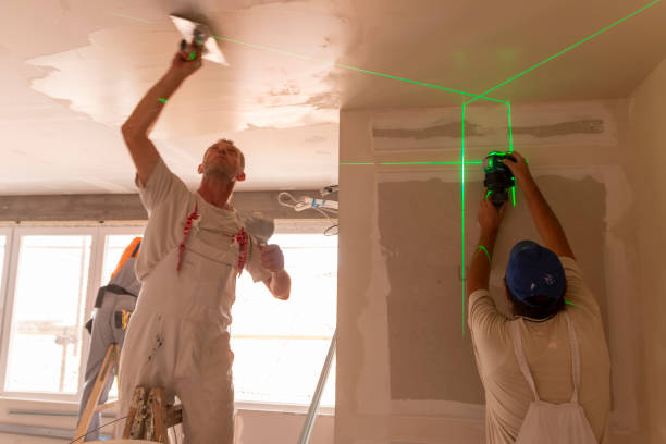 Best Mold Damage Restoration  in Lakes Of The Four Seasons, IN