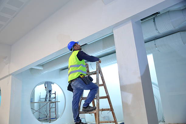 Best Industrial Mold Remediation  in Lakes Of The Four Seasons, IN