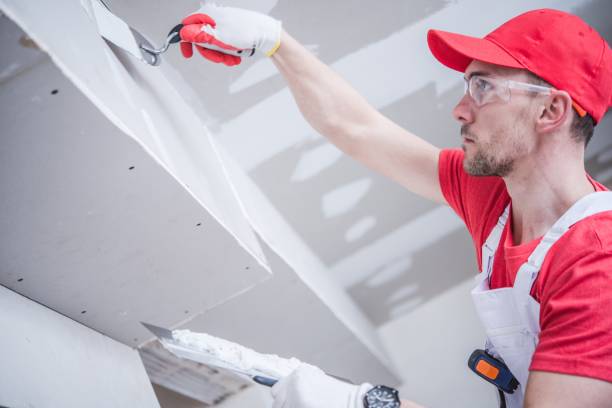 Best Mold Damage Restoration  in Lakes Of The Four Seasons, IN