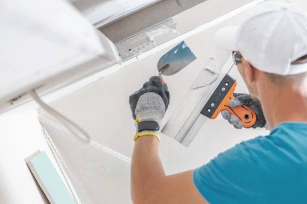 Best Mold Removal for HVAC Installations  in Lakes Of The Four Seasons, IN